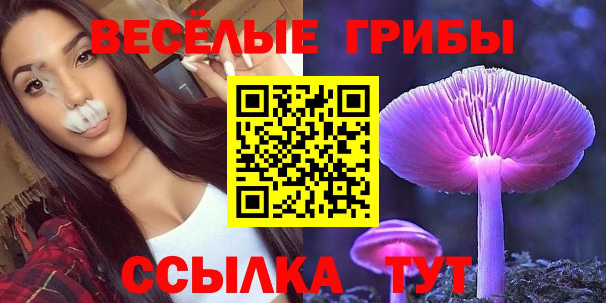 Гагарин  Псилоцибиновые грибы мухоморы  Вход с VPN 